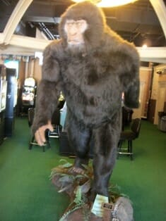 Sasquatch Casino in Black Hawk, Colorado