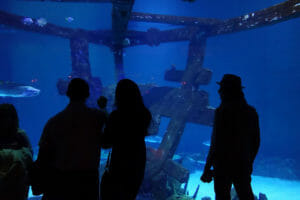 If the slots don't eat you alive, the sharks in here will