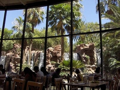 View from the Paradise Garden Buffet at the Flamingo