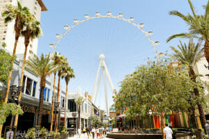 The High Roller May Have Cost Hundreds of Millions to Build