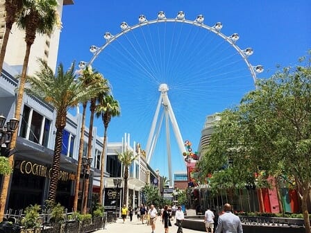 Socks & Bottoms  The LINQ Promenade