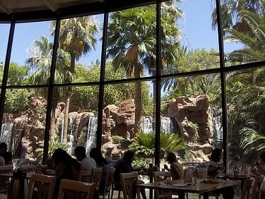 Views from the Paradise Garden Buffet at the Flamingo