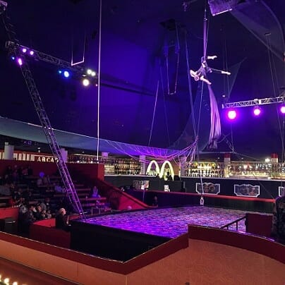 The circus show seating area is to the left