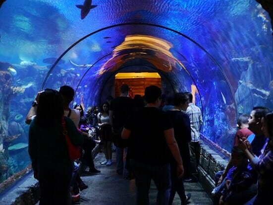 The underwater tunnel at Shark Reef at Mandalay Bay