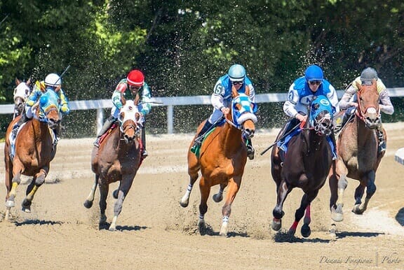 Online horse betting laws 150 ema forex