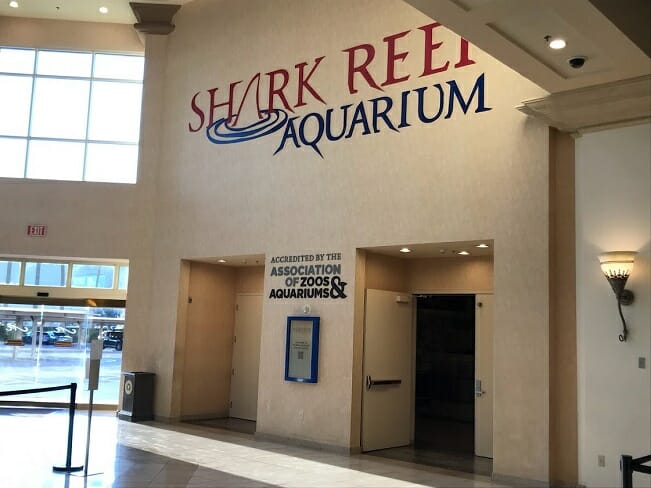 Shark Reef Anytime Tickets — MGM