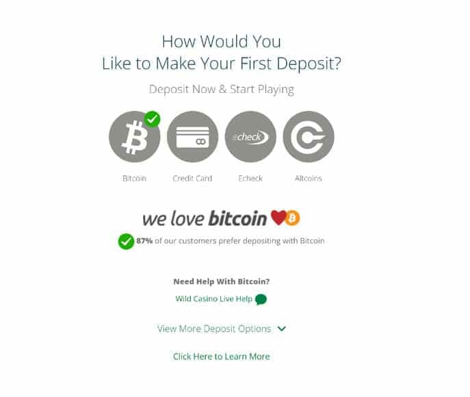 Wild Casino's deposit