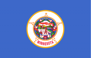 Minnesota State Flag